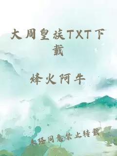 大周皇族TXT下载