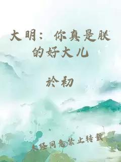 大明：你真是朕的好大儿