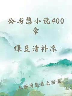 公与憩小说400章