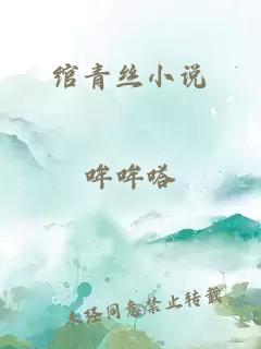 绾青丝小说