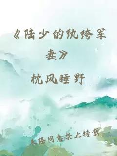 《陆少的纨绔军妻》