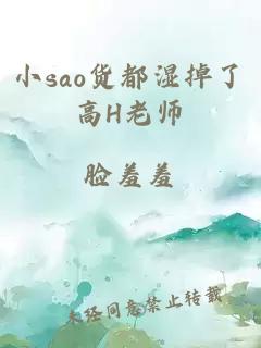 小sao货都湿掉了高H老师