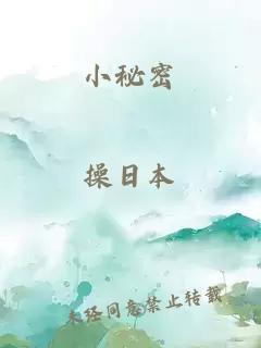 小秘密