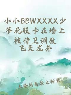 小小BBWXXXX少爷屁股卡在墙上被侍卫调教