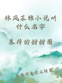 林风苏雅小说叫什么名字