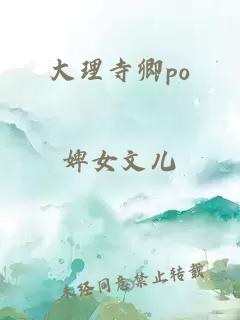 大理寺卿po