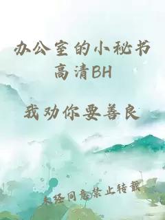 办公室的小秘书高清BH