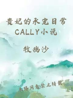 贵妃的承宠日常CALLY小说