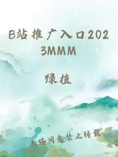 B站推广入口2023MMM