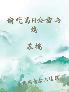 偷吃高H公翁与熄