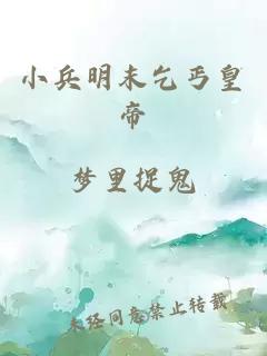 小兵明末乞丐皇帝