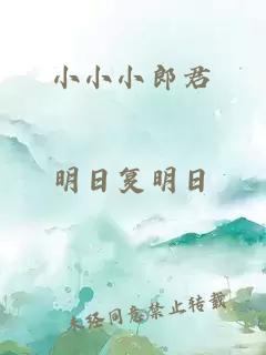 小小小郎君