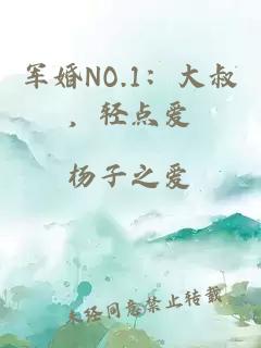 军婚NO.1：大叔，轻点爱