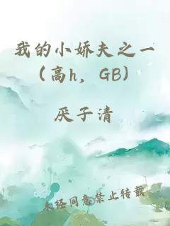 我的小娇夫之一（高h，GB）